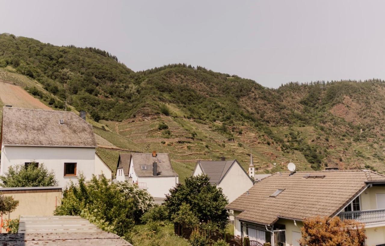 Ferienhaus Scheid Bremm Εξωτερικό φωτογραφία